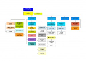 ORGANIZAČNÍ SCHÉMA 2015_RU