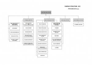 COMPANY STRUCTURE _EN_2021